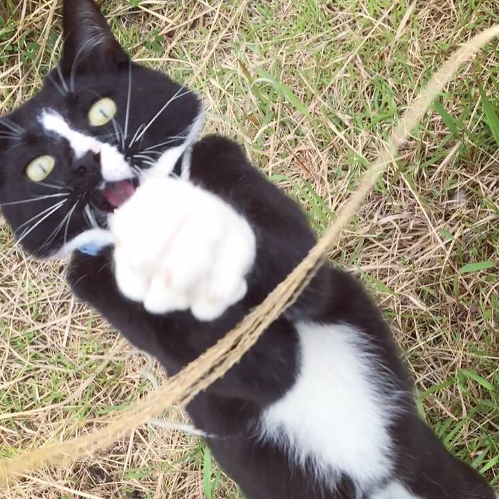 687236c9 fcc6 492f ab36 c9927d53fd91