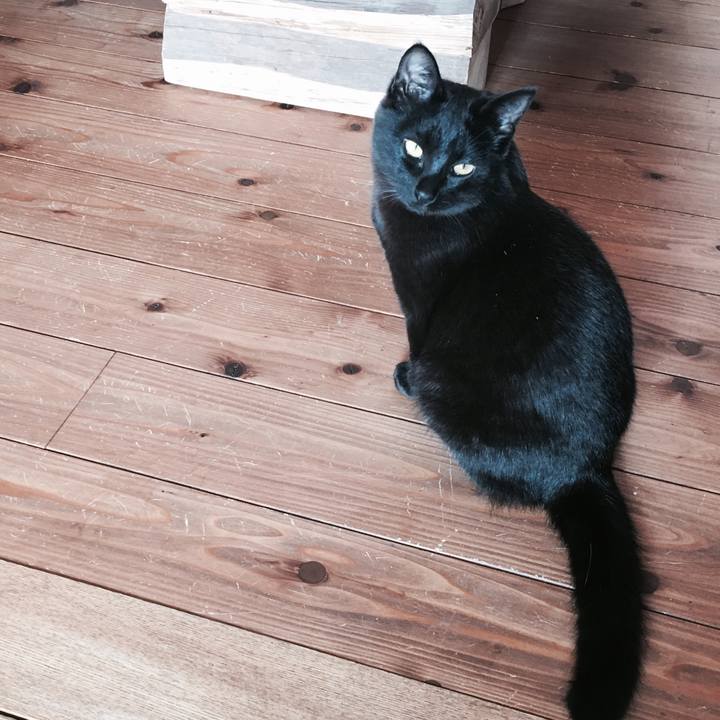 6872402b c277 4748 8327 3cff95516686