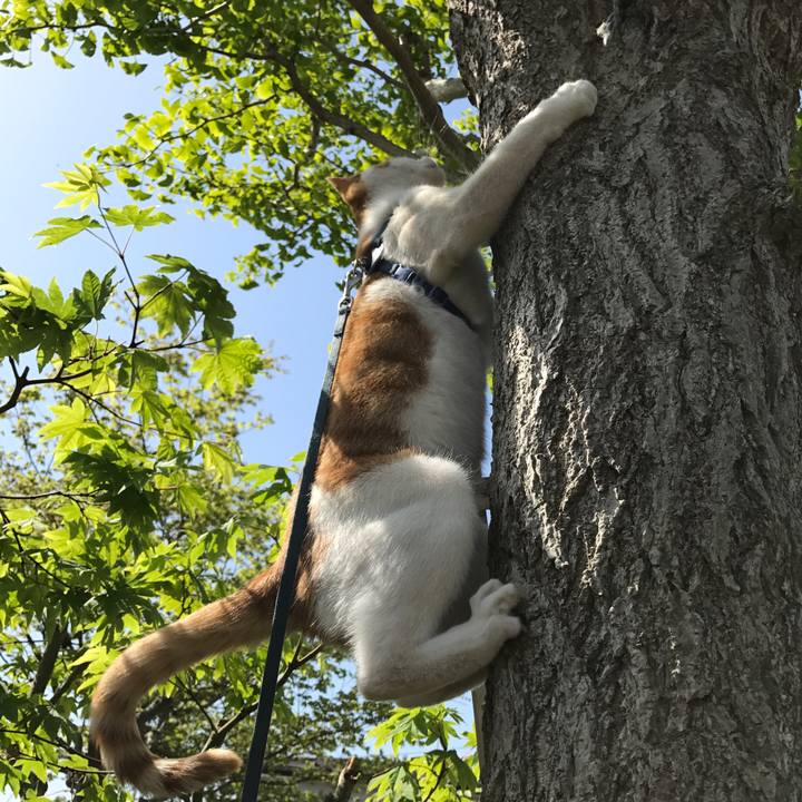 6873072e 42e1 48bb ab69 671a73d861ce