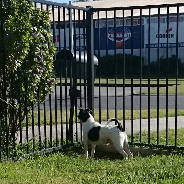 687350cd e8ae 46af 8d4c 2928cabe5b63