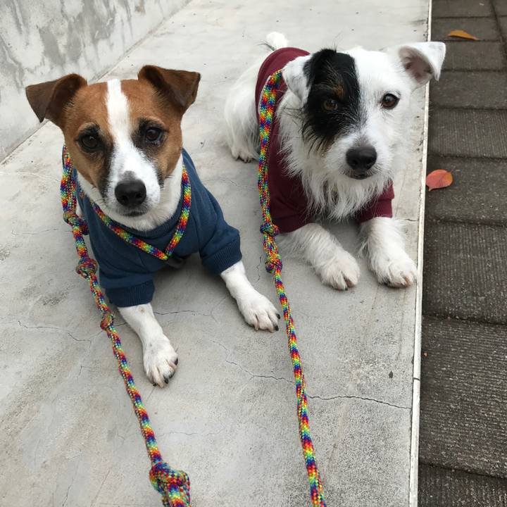 6874acab 68e9 4ee6 aeeb 56c88a20c7b5