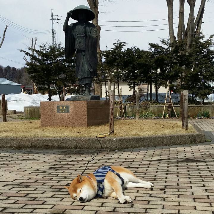 6874ead2 c8bc 4428 b65a 3a1d863edc8c