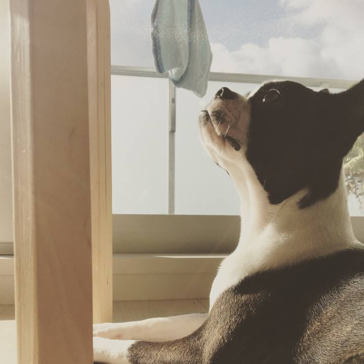 68751b30 3cd9 4467 b404 12254d4d3560