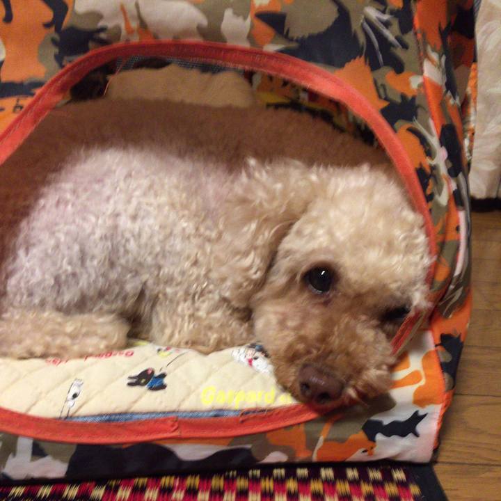 6875272e 6e8d 472f 8130 04a075e661a1