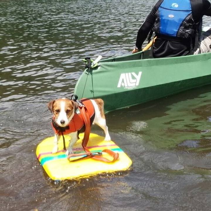 68754d59 6c27 4003 a3fb 9393813db150