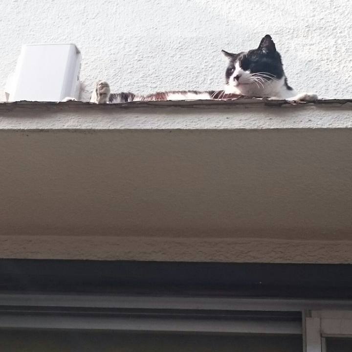 6875a3aa 48c6 4bd4 81a7 1e1f3f36d25f