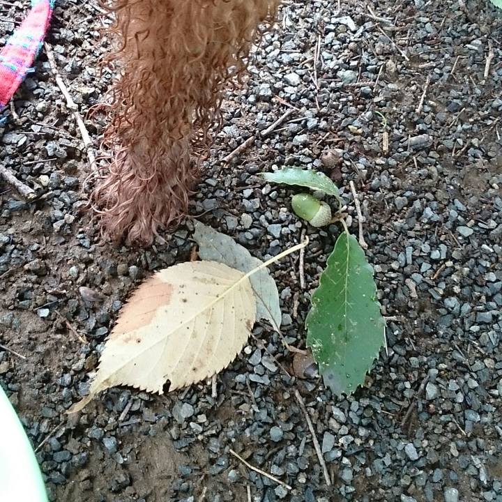 68763a4e 02aa 40fb b3eb b63c0a47aeca