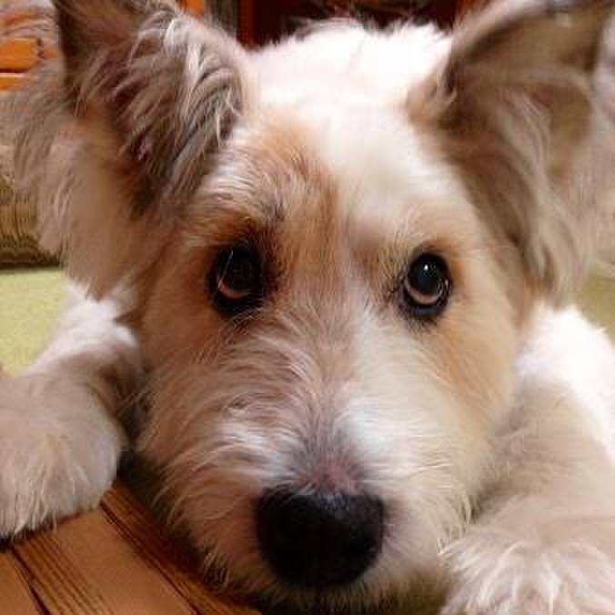 687759db 30d8 44e0 b759 a8d08eb69db8