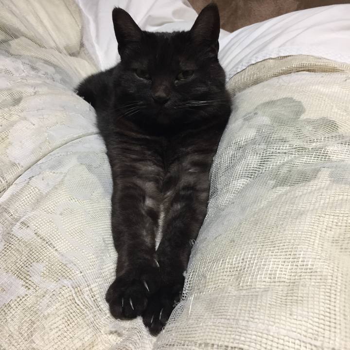 6877645d a80e 4181 bb4b f7007cc76524