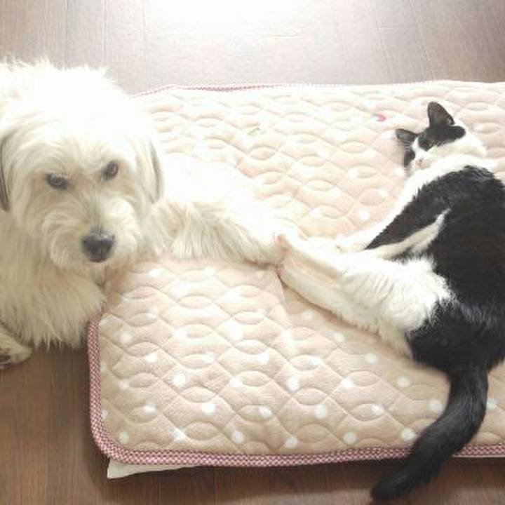 6877799d 6f56 4c68 8fa4 f8d60e07c76a