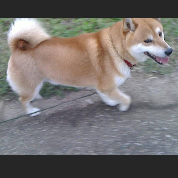 68783e3c b13c 48cf 88f4 43ae1a262d26