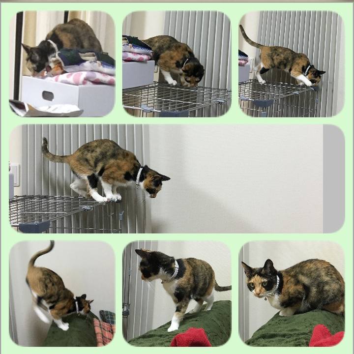 6878d7d1 edb6 4db9 8399 b51b45ccc166