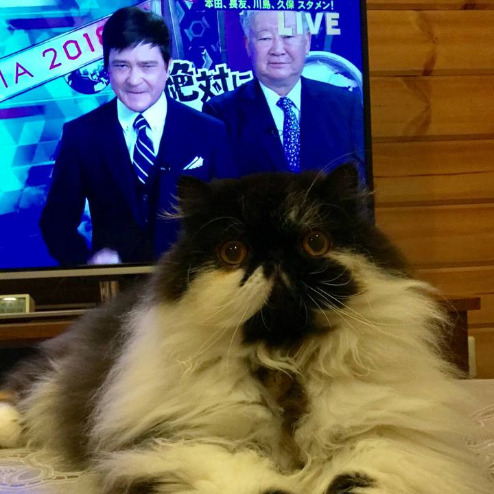 6878e482 20b1 433c aa83 671ed5638ba5