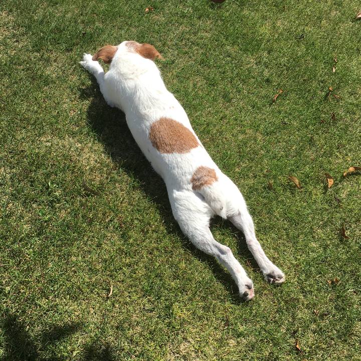 6878fd78 f582 4c3a a7ab 0b9b655c8a0c