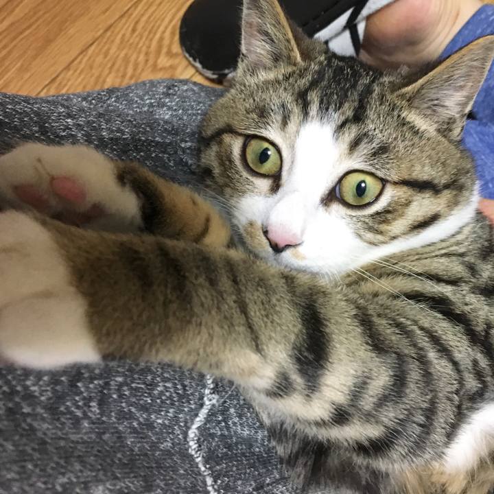 687904cd 360f 43ec 91ea 97c3d164b988