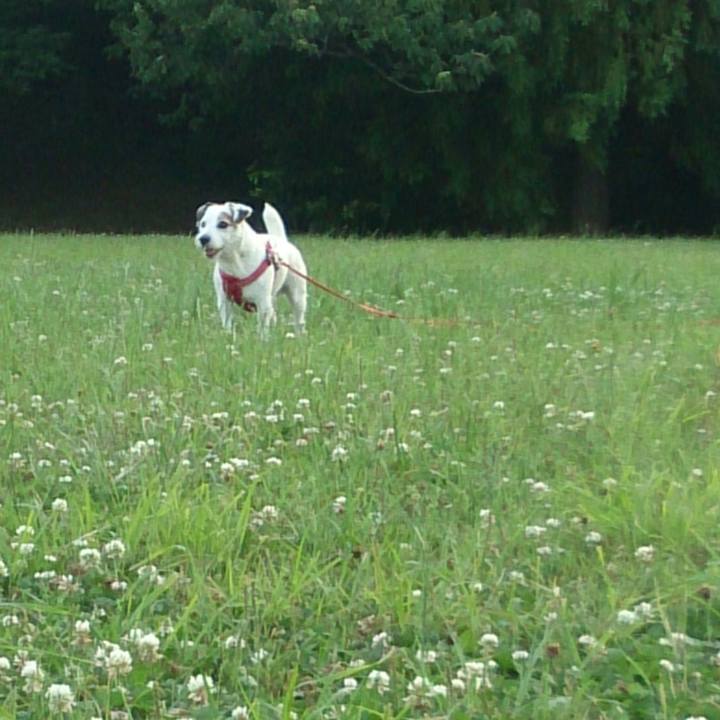 687907a8 9002 4fbc a404 f1e1995e8b16