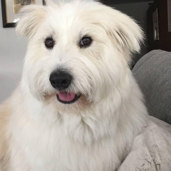 68790f18 994c 476f 9b01 a7e6ea38a1a7