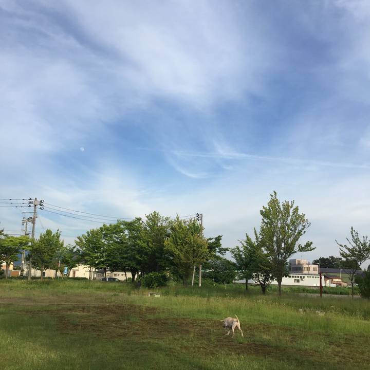 687a4a8a c292 4b96 a8a0 b0dba29de9c0