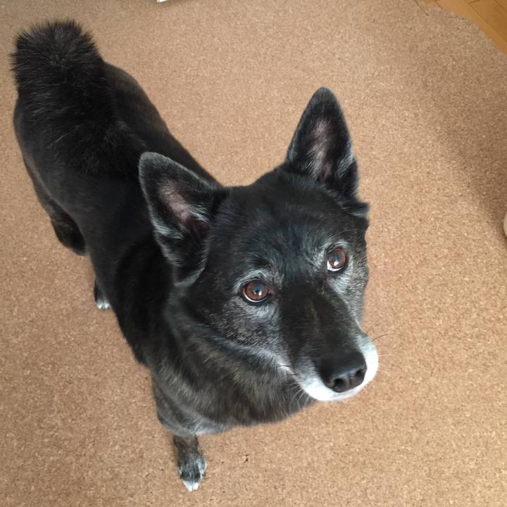 687acfb2 25a5 4ad7 a86d e6adef1f9a06