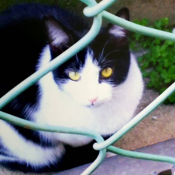 687ad0f2 7fca 463b ab93 c65f0e478c1e