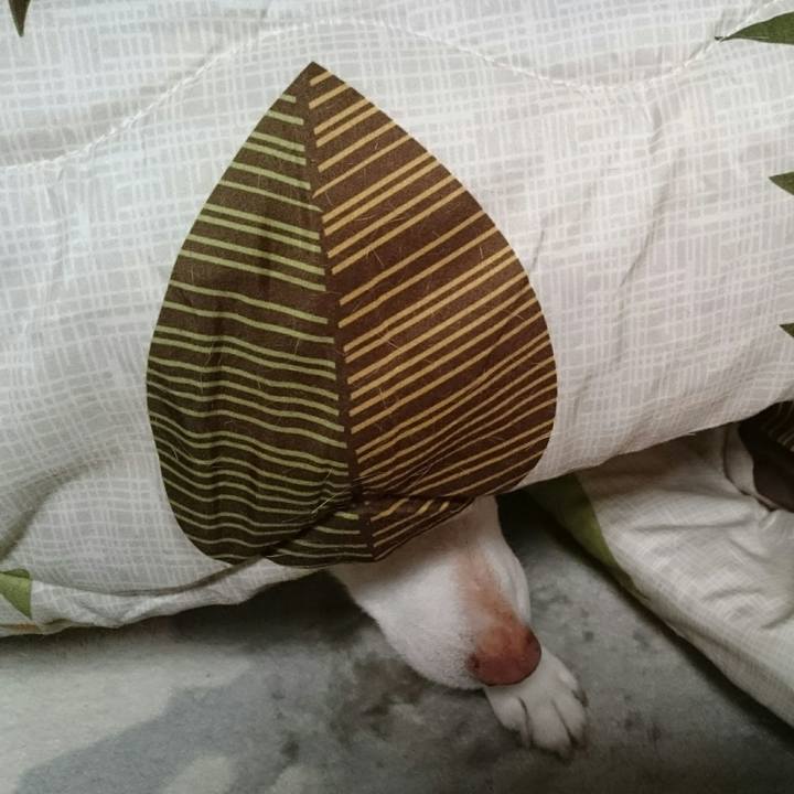 687b1c28 dc15 4c4a 82fc faddaa591dc3