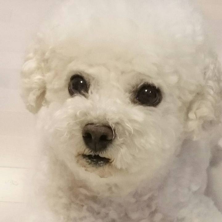 687b1ecd 848a 46d8 92cd 429d966f0a76