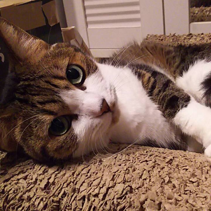 687c6e19 e563 4ff6 b740 ac80da9e2bf1