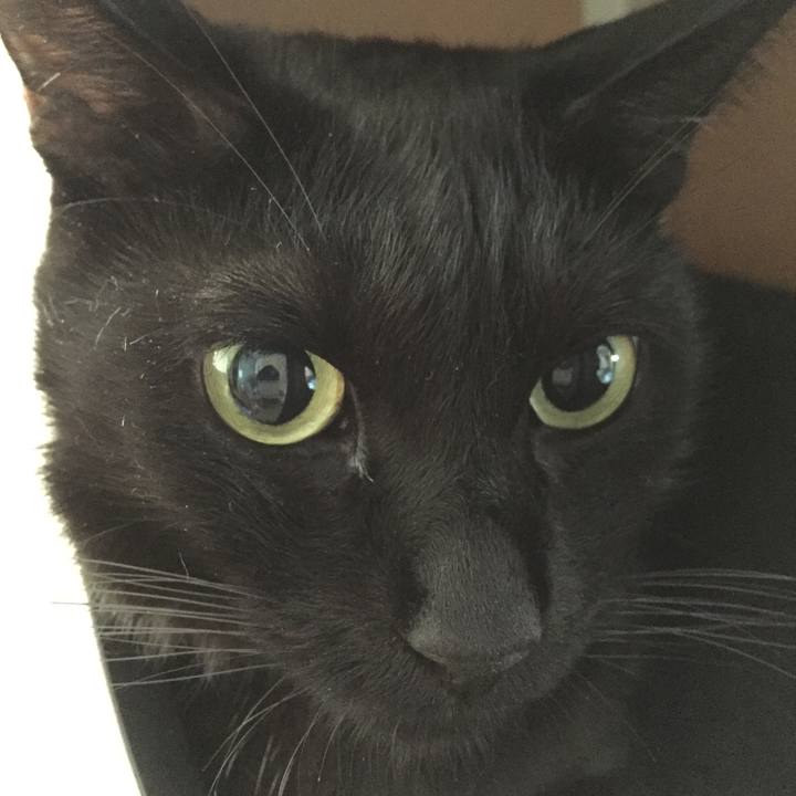 687ca808 6521 4278 94c8 b4d822cd9353