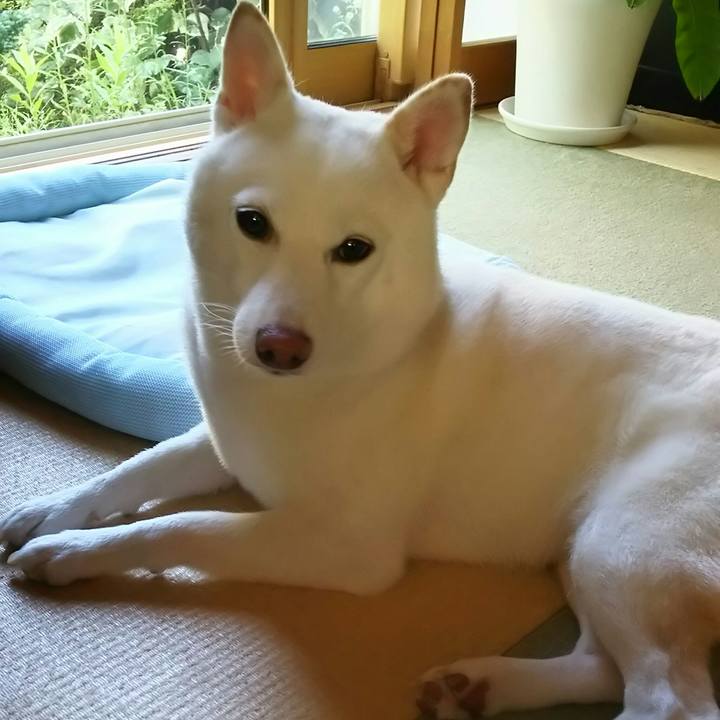 687ccaff a806 4911 8ea1 7bc5f7f75033