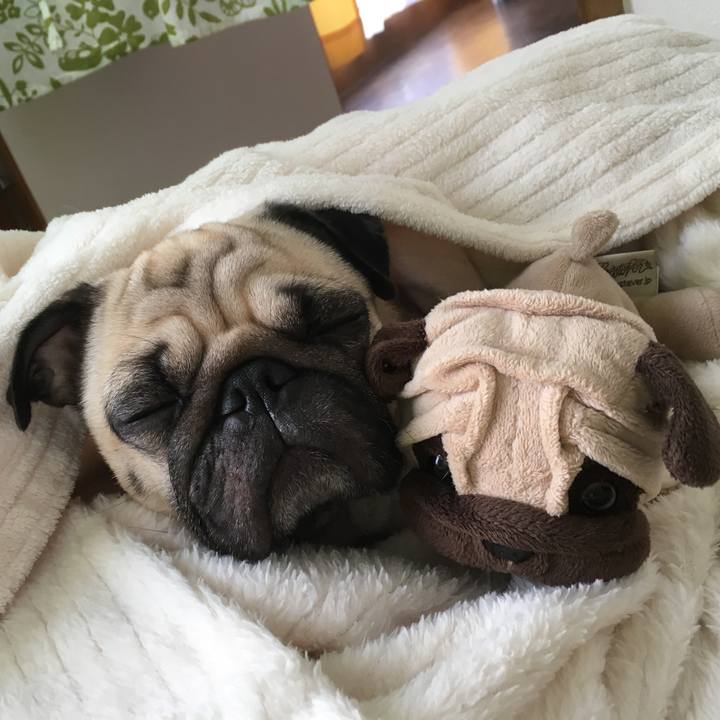 687d11e1 6b06 47a1 92c5 44dfd6df30dc