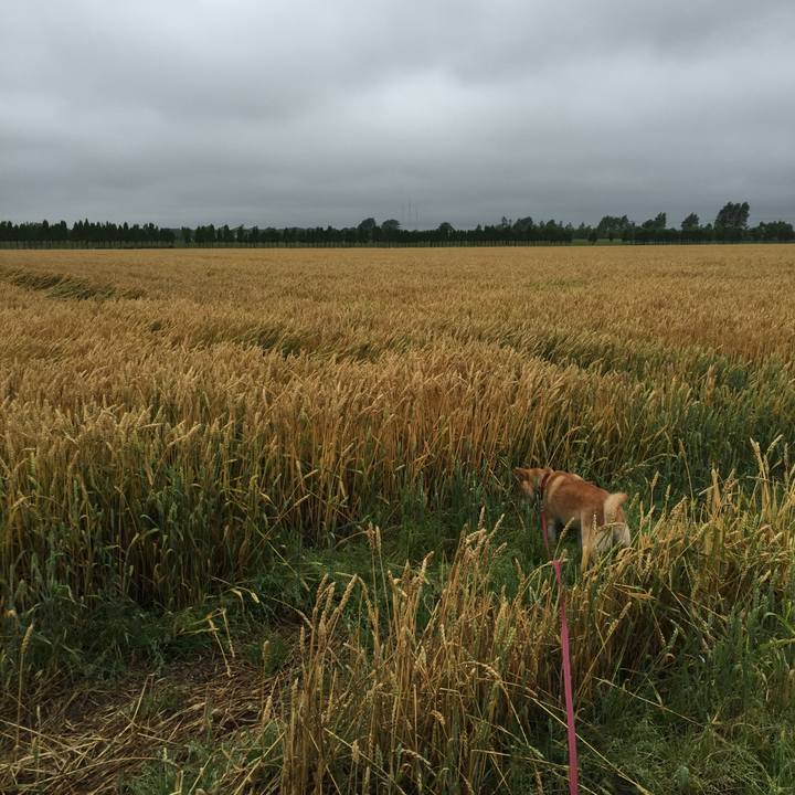 687d1d3c 3e89 4f3b bdc7 0fee110203d1