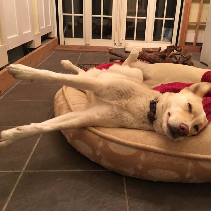 687d4aee 00cd 4d6b b5c2 99fdcbd57e1f