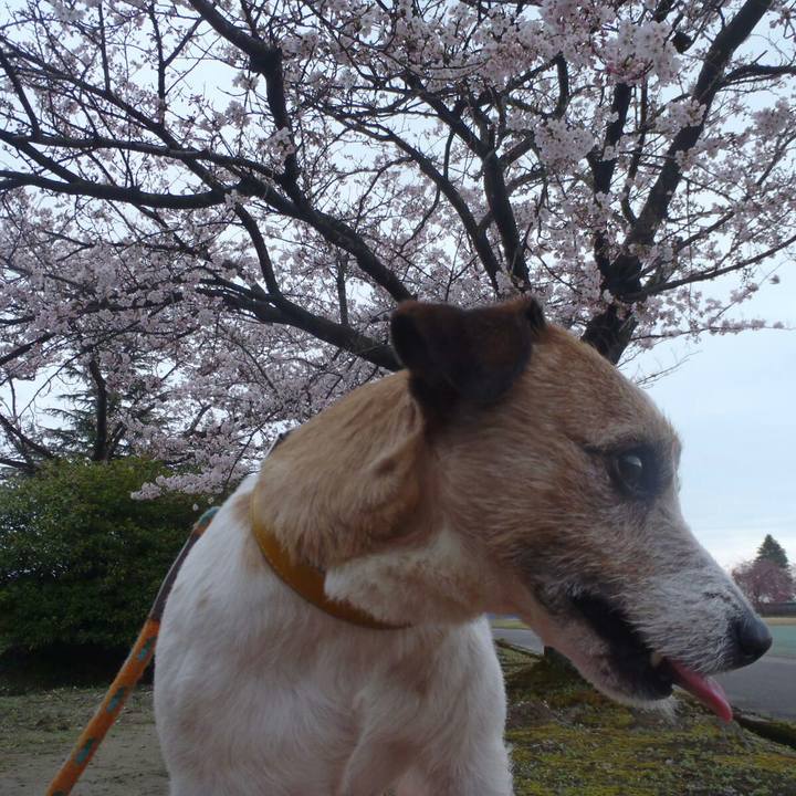 687e0d74 d03d 45d7 b92e 6d3fbfb15f14