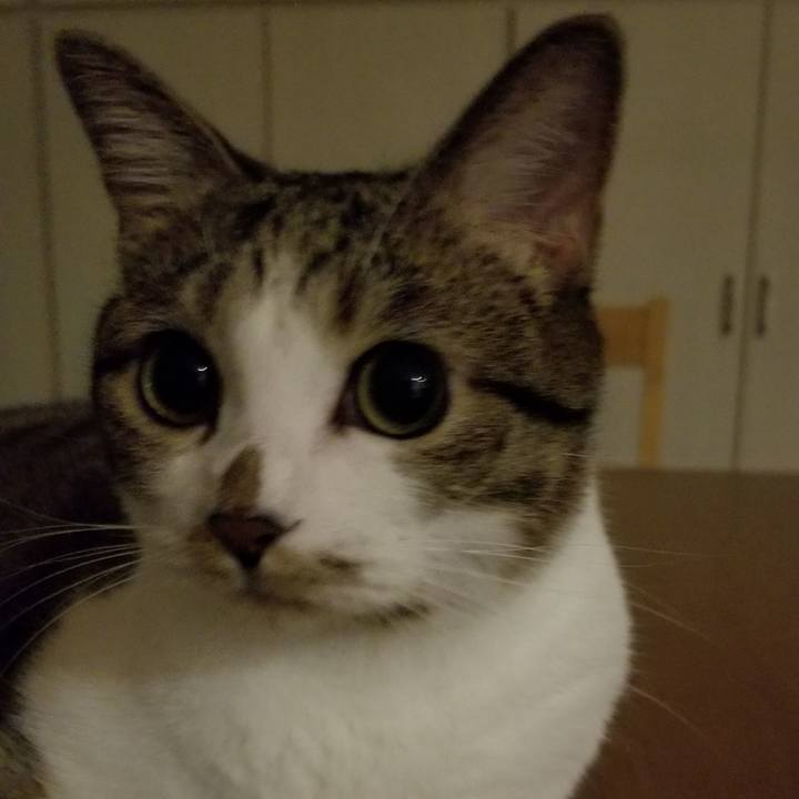 687ef403 dbda 4e50 b6df 5d7c710f221f