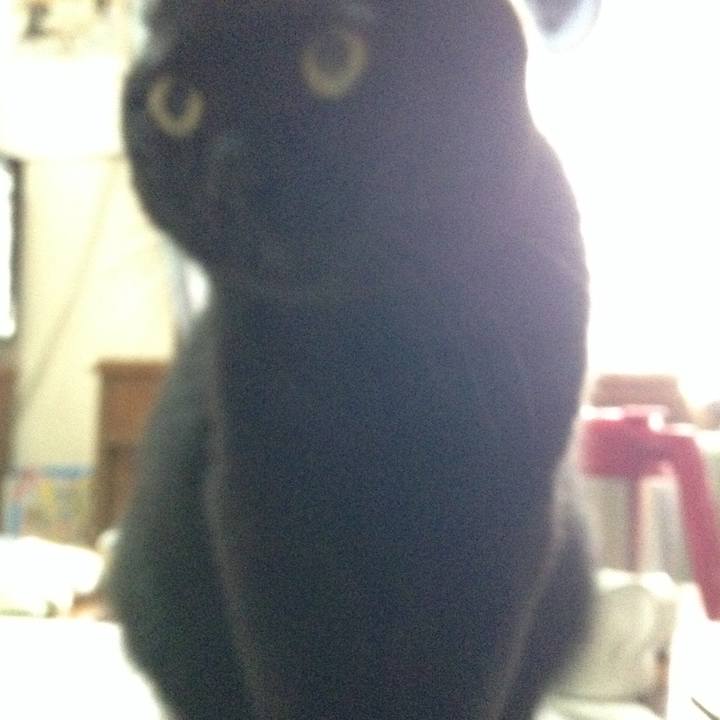 687f2443 83a2 46f2 bdb5 a455e291af86