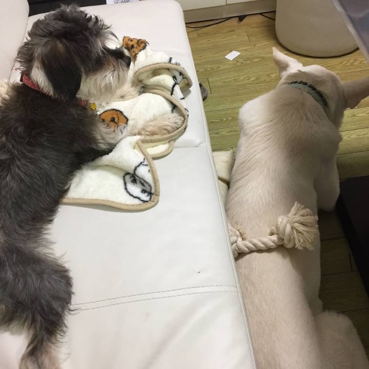 687f6777 88af 491e b367 b25227774a45