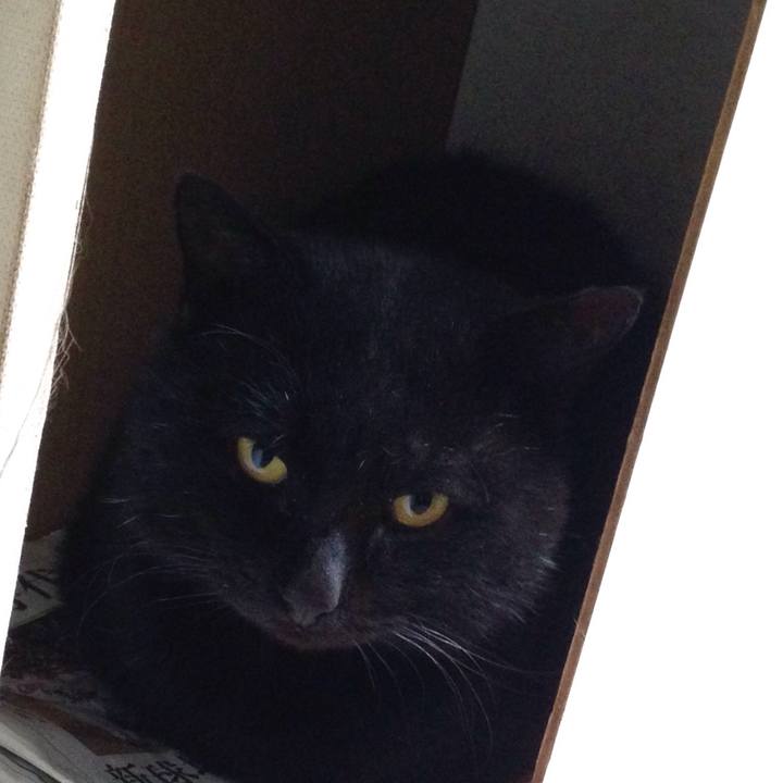 687f83a7 bf56 4fdb ba14 9bfb201f1f9d