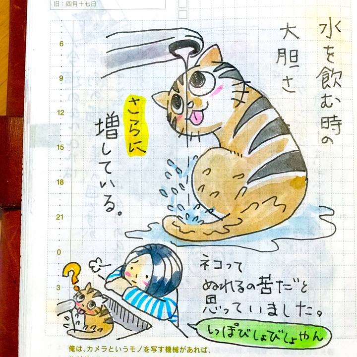 687faeb0 32da 4dce a2e2 354e1b56e55c