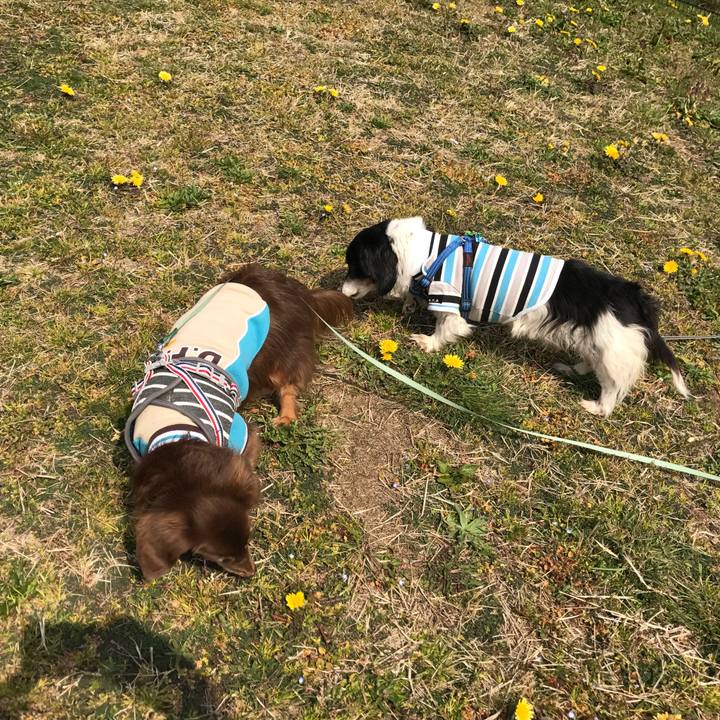 687fc423 fac4 4ec3 bc1c cb1fd317ca43