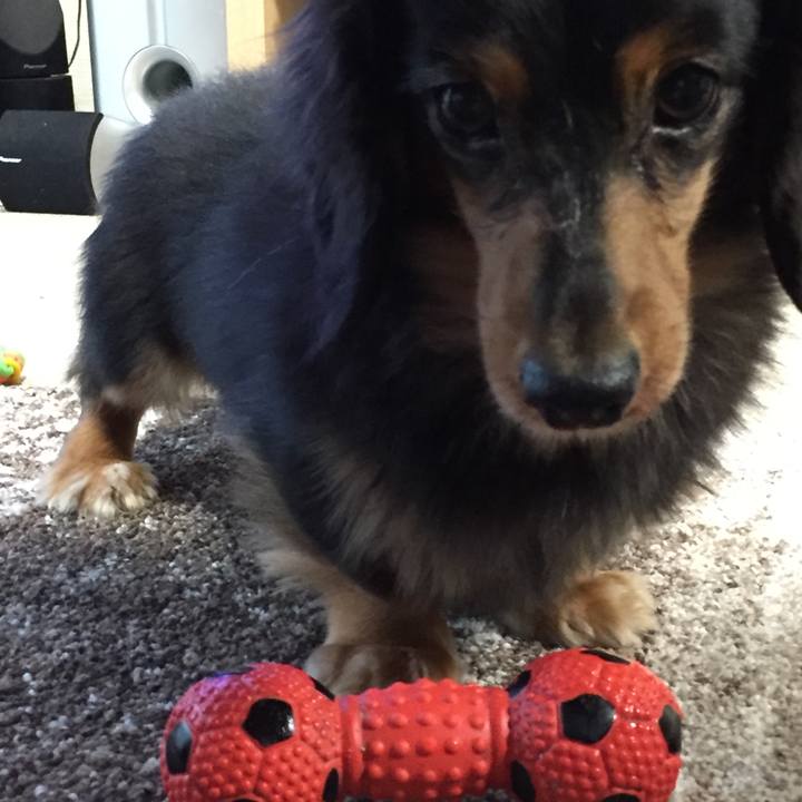 687fdff9 c676 41a6 9b67 71eb79c216c9