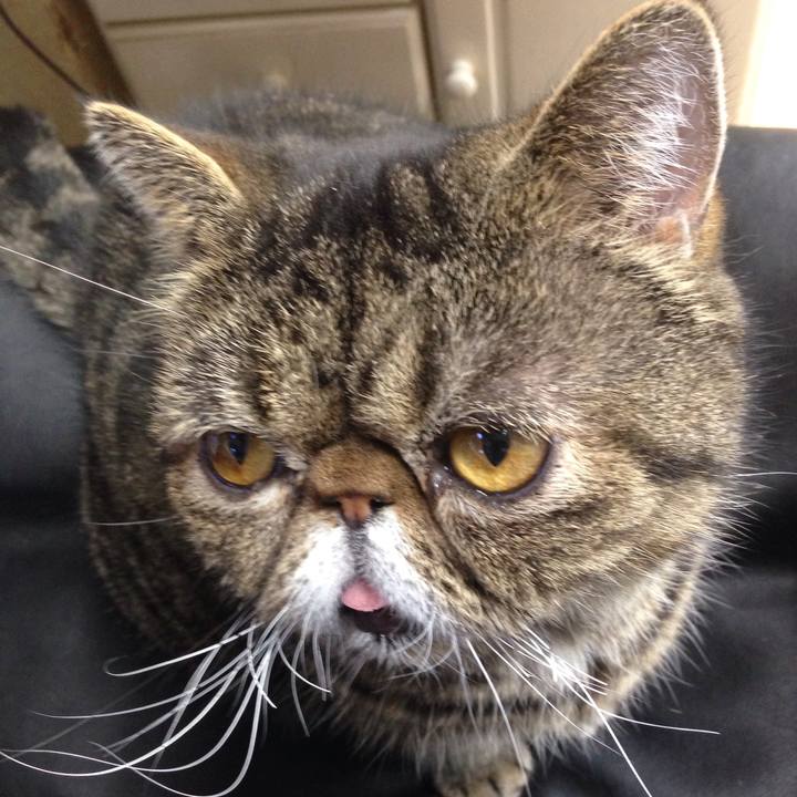 68800c1f 7ab3 4f89 9887 913925046a39