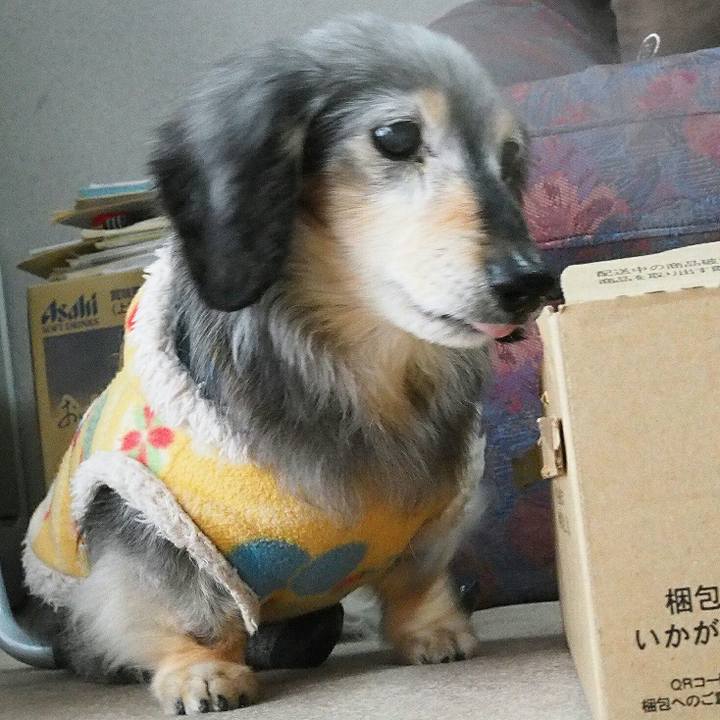 6880a7fd 55e8 4bba 8ee1 136a92cc9980