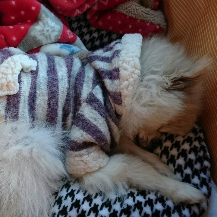 6880cb1a 6b6c 42b3 8b6e 4d3c991aba43