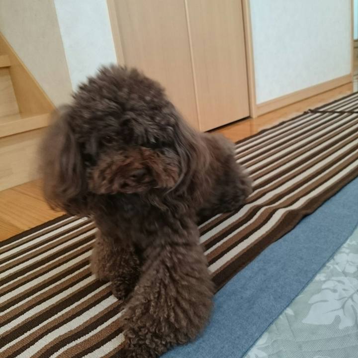 6880e1d9 de03 4913 be8c 09a876da0556