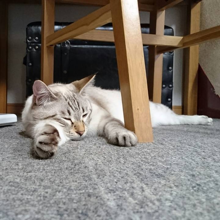 6880f75d 215c 4a00 af10 0d150025a0e5