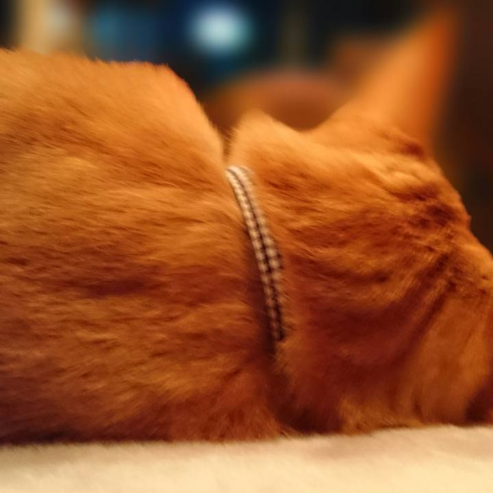 688114bd 94c9 4128 ab3d 87923d4dcec1