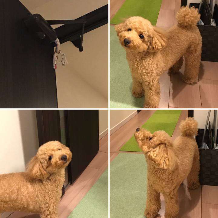 68828909 cd51 4f4f 8e7a 0640361a379e