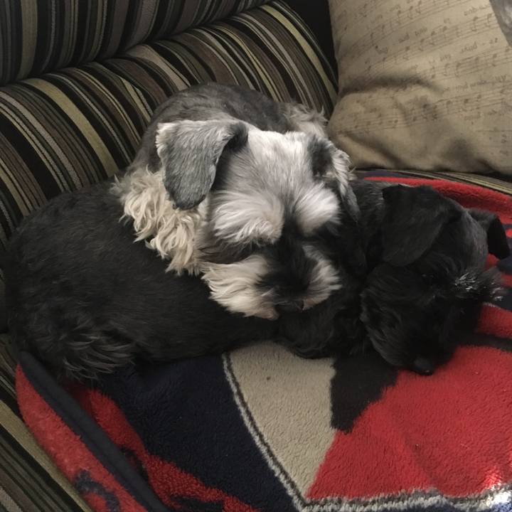 6883026b 5101 4aad 9857 58a3758f961f