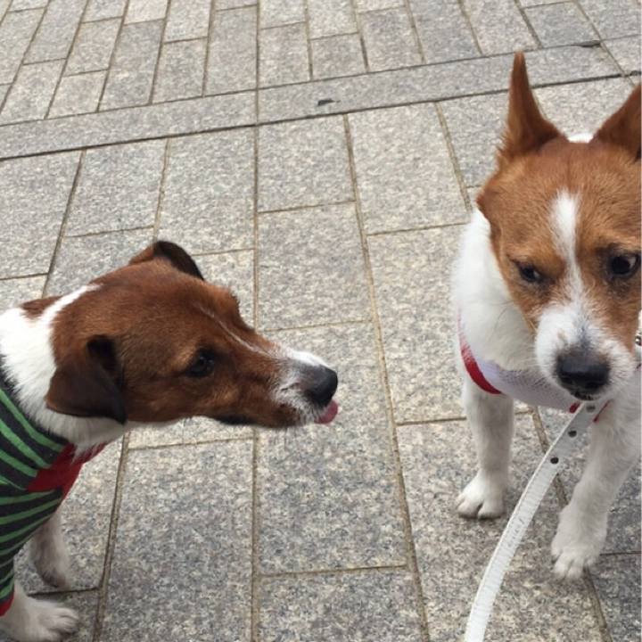 68843e97 ea58 47be 827e 6773df7535c2