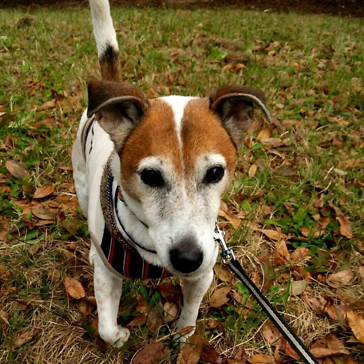 6884f8b0 8ab0 43b1 af3f 8097e7677523